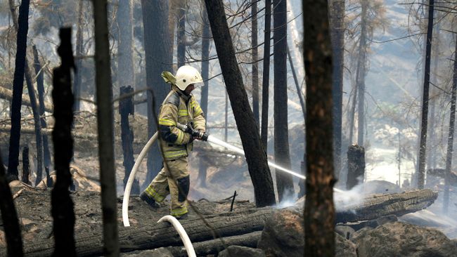 В Крыму потушили ландшафтный пожар
