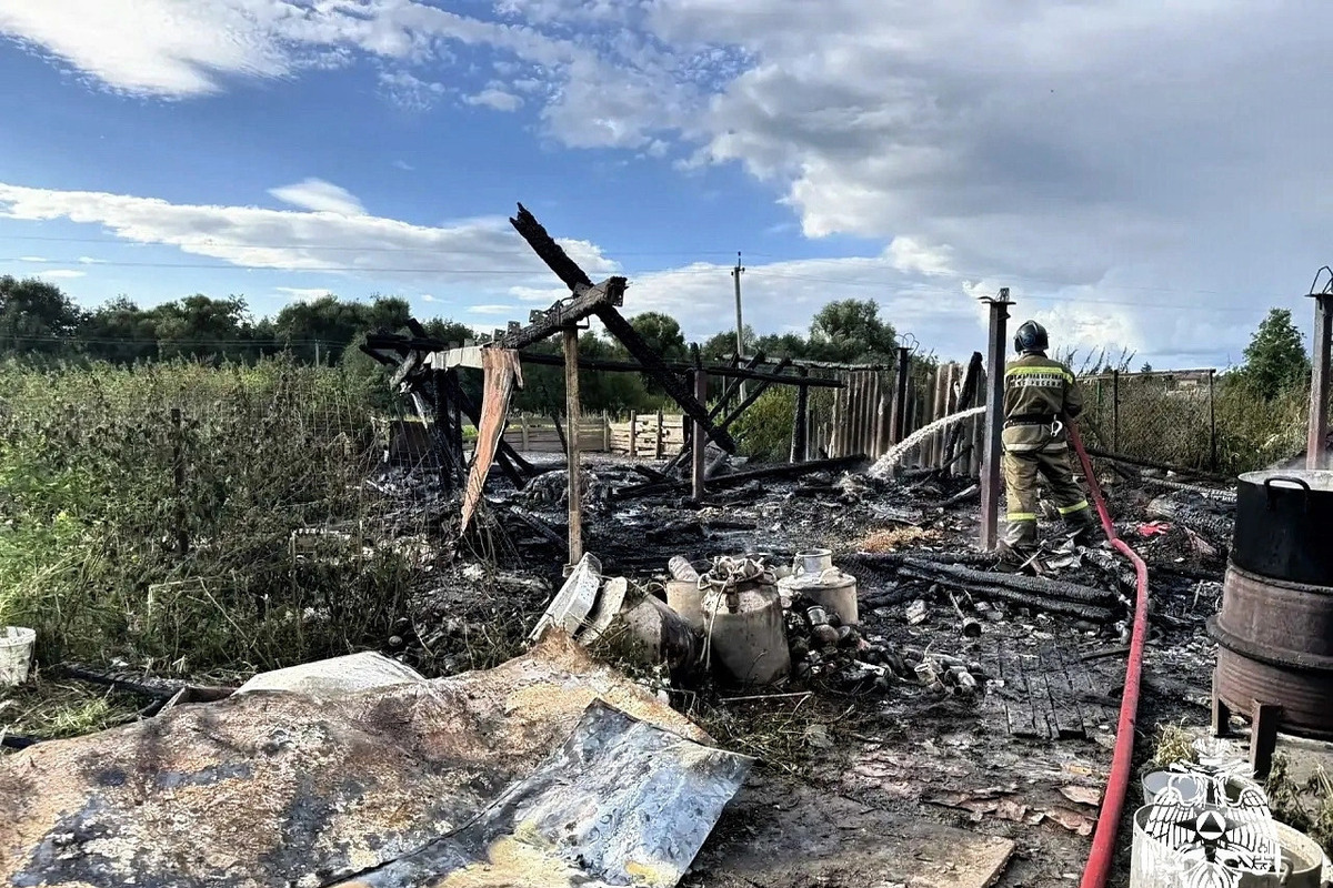 В деревне Акатово при пожаре в сарае погибли 40 животных