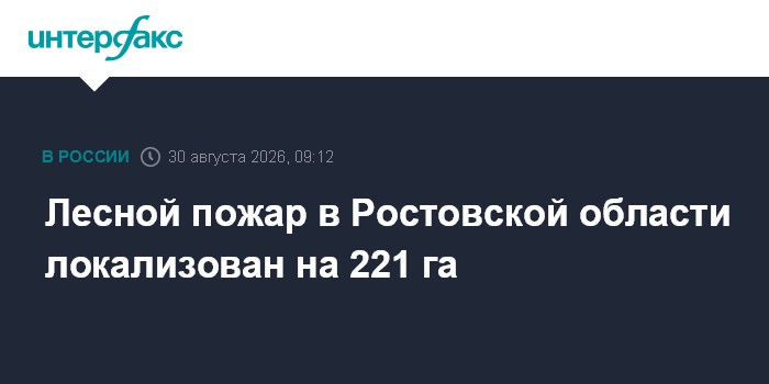 Лесной пожар в Ростовской области локализован на 221 га