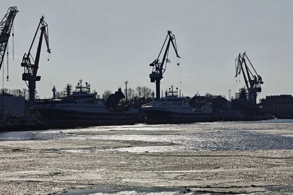 Грузооборот Мурманского порта в июле вырос на 9% благодаря местному сырью