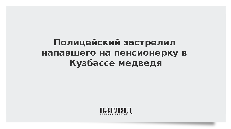 Медведь напал на пожилую женщину под Новокузнецком и был застрелен полицией