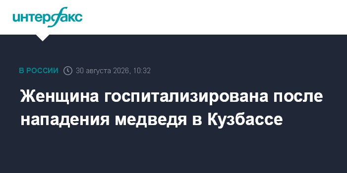 Женщина госпитализирована после нападения медведя в Кузбассе