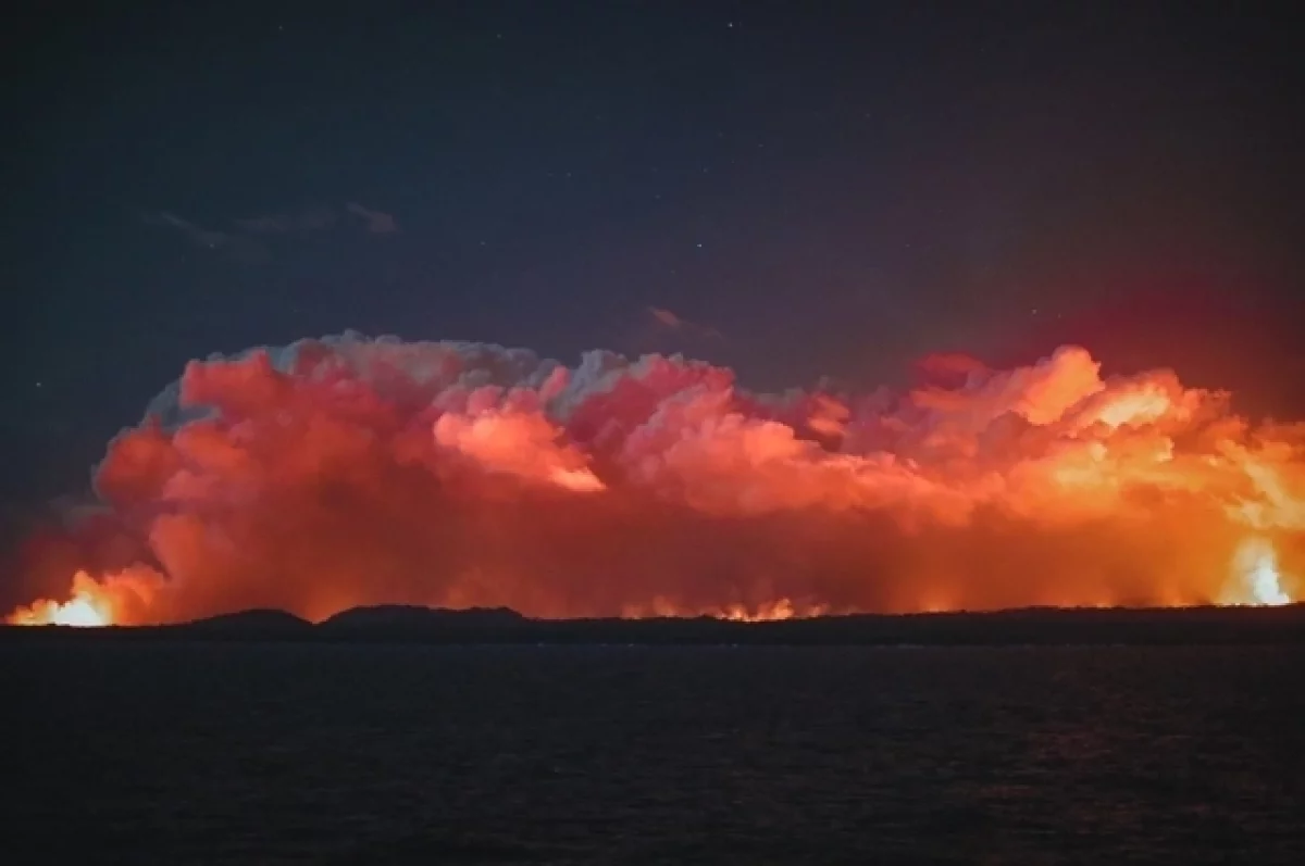 Киев в огне 80 часов: жёсткий ответ за атаки на РФ захлестнул всю Украину