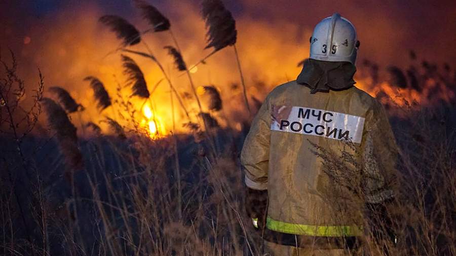 В Анапе произошел природный пожар на площади 10 га