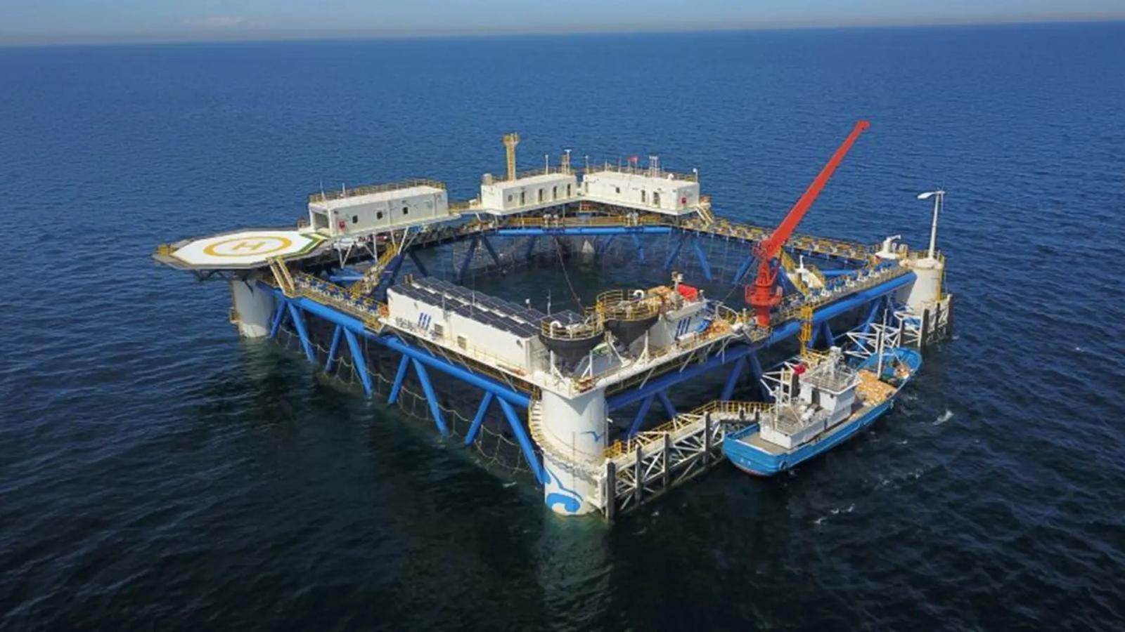 Бамбук вместо стали и пластика: Китай тестирует в море 100-киловаттную морскую солнечную платформу из бамбука