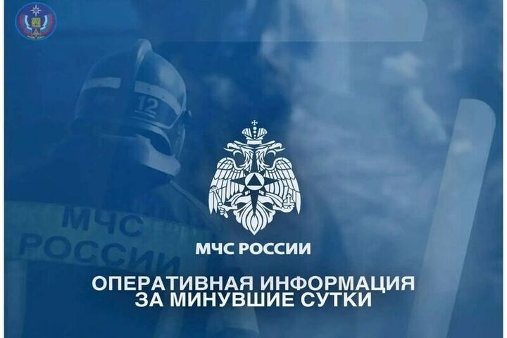 В Брянской области за дежурные сутки ликвидированы четыре лесных и два техногенных пожара