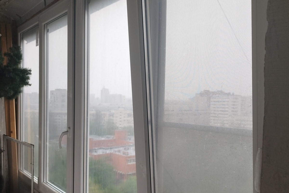 В последний день лета в Ленобласти местами загремят грозы и пройдут дожди