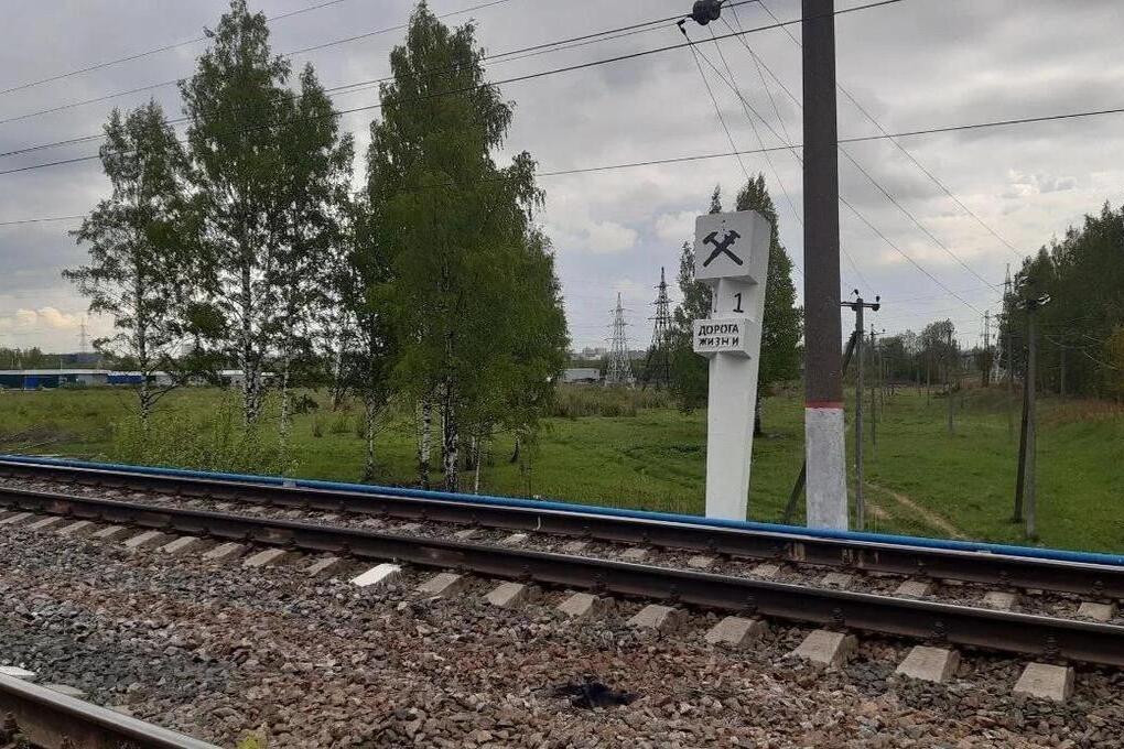 В Ленобласти отреставрируют памятники на Дороге Жизни и откроют новый музей «Невский пятачок»