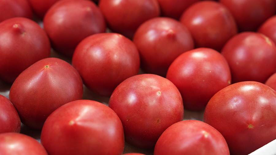 Помидоры стали самым подешевевшим продуктом в России в июле