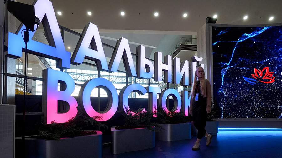 Минвостокразвития планирует вдвое увеличить инвестиции в ДФО