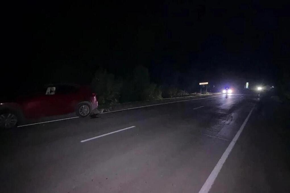 Под Новосибирском «Лексус» в кромешной тьме насмерть сбил пешехода