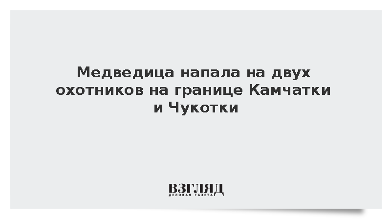 Медведица напала на двух охотников на границе Камчатки и Чукотки