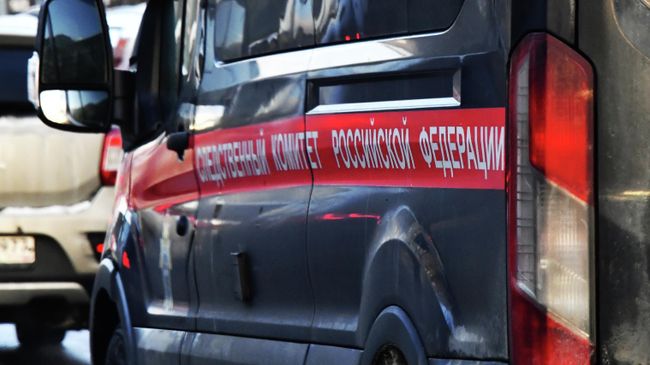 В Петербурге завели дело после удара током ребенка при купании у яхт-клуба