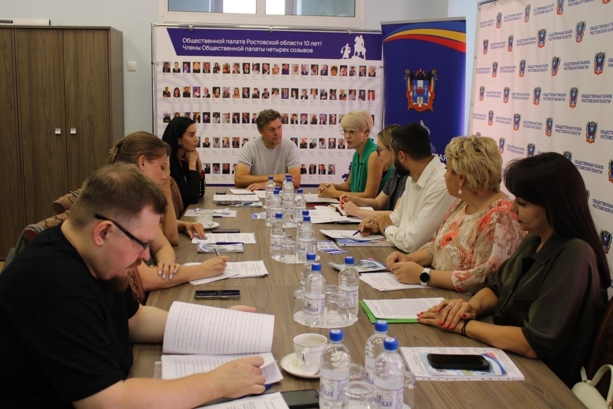 Интересы молодежи Ростовской области по вопросу комфортной городской среды обсудили в Общественной палате