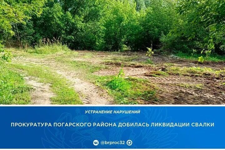 В Погарском районе прокуратура добилась ликвидации свалки