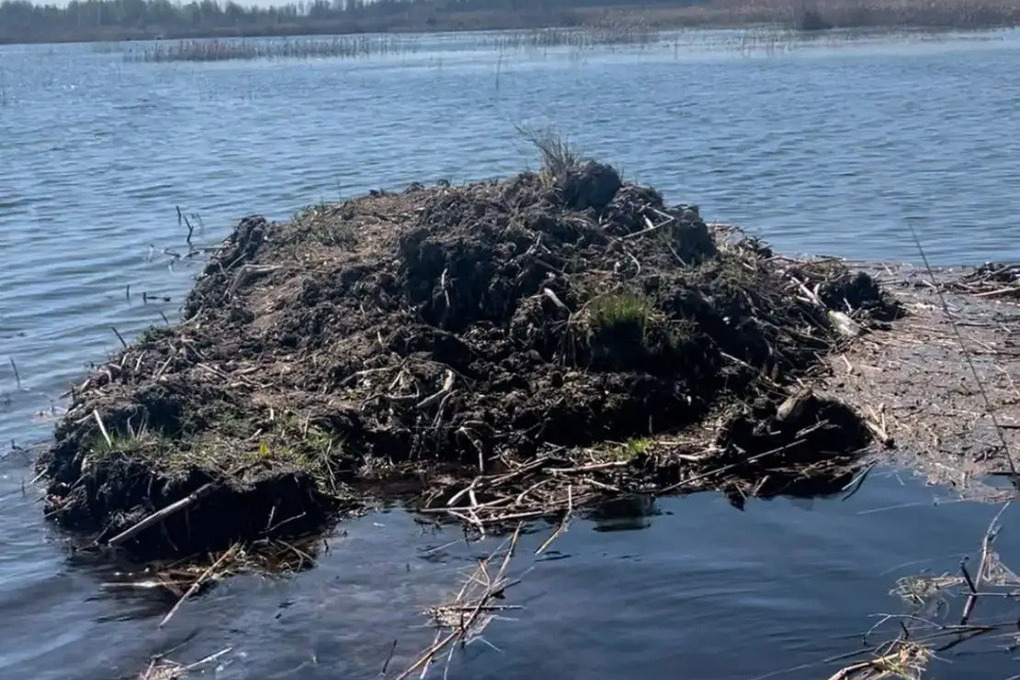 В Моршанске суд обязал возместить полумиллионный ущерб реке Цне