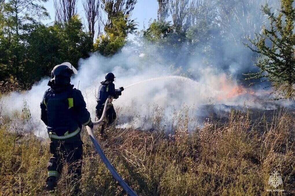 В Запорожской области ввели особый противопожарный режим до 31 октября