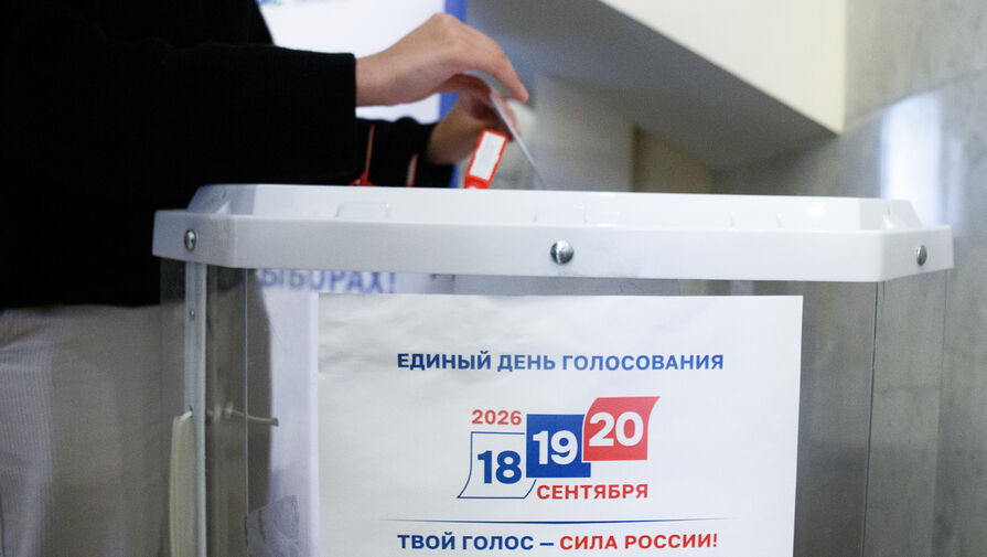 Депутат напомнил о важности роли наблюдателя на выборах