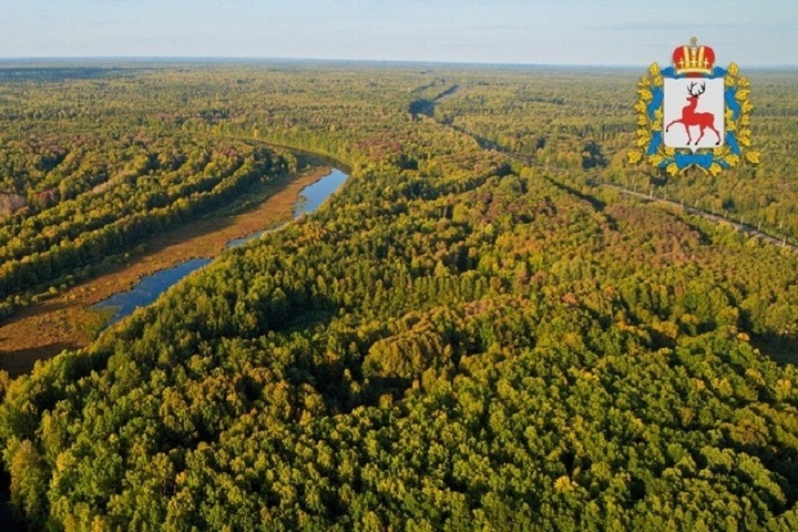 На западе Нижегородской области вводится запрет на посещение лесов
