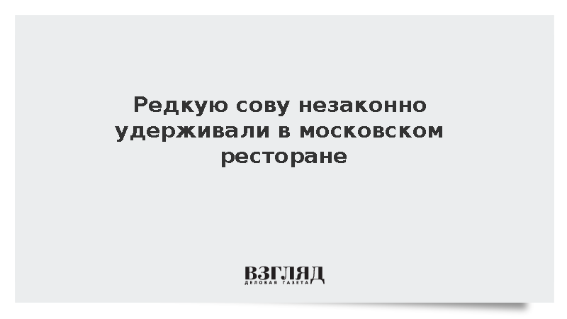 Краснокнижную сову сплюшку изъяли из московского ресторана