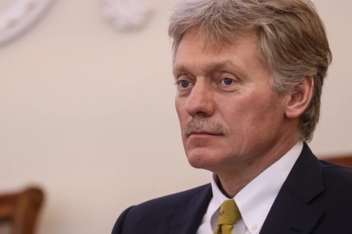 Песков: РФ примет меры для противодействия провокациям ЕС во время выборов