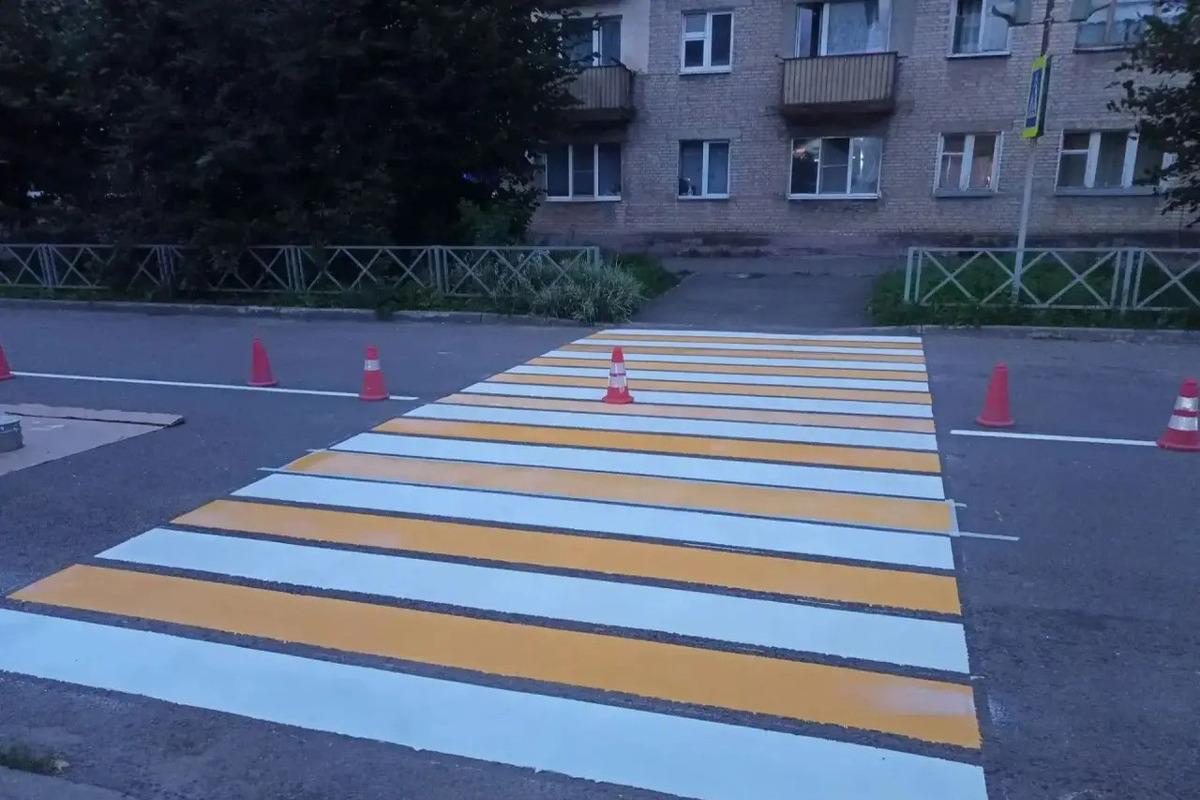 В Тамбове более 130 пешеходных переходов у школ обновили к 1 сентября