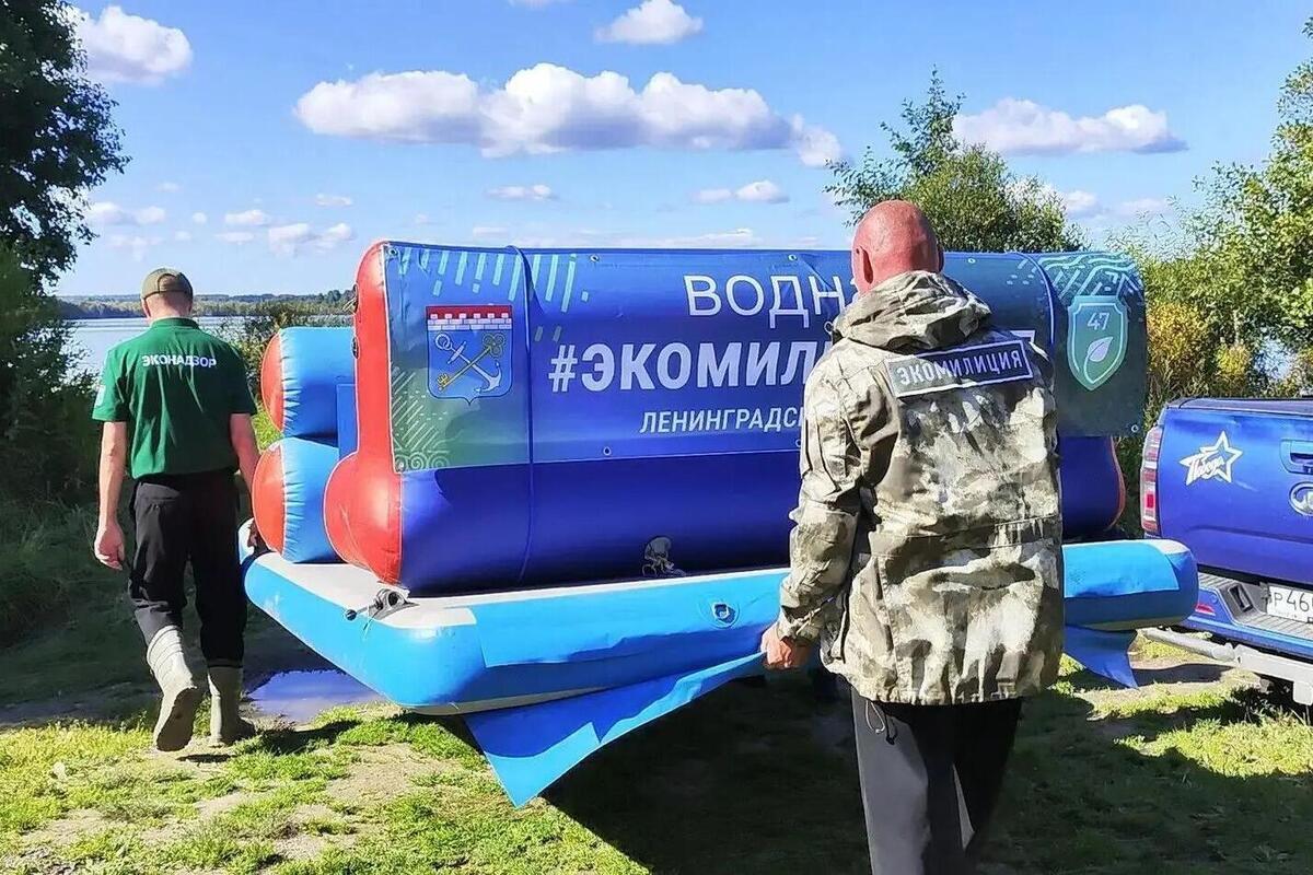 Экомилиция нашла причину гибели рыбы на озере Победное в Выборгском районе