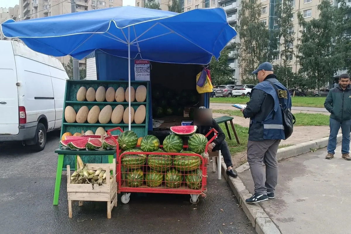 Петербургские торговцы-нелегалы лишились арбузов и автомобиля в придачу