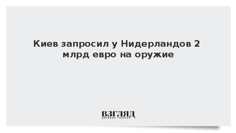Киев экстренно запросил у Нидерландов два млрд евро на оружие