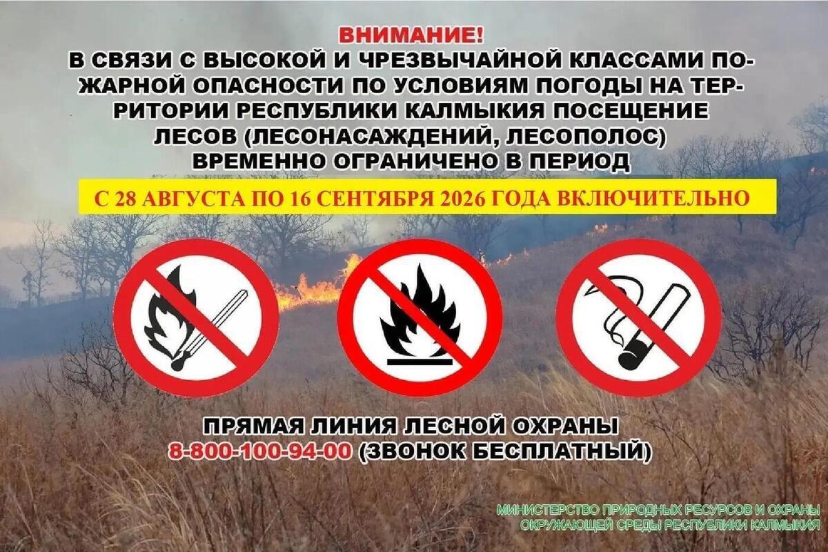 В Калмыкии снова закрыли лесные зоны для посещения из-за аномальной жары