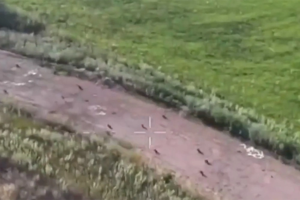 Появилось видео уничтожения колонны из 100 дронов-ждунов ВСУ
