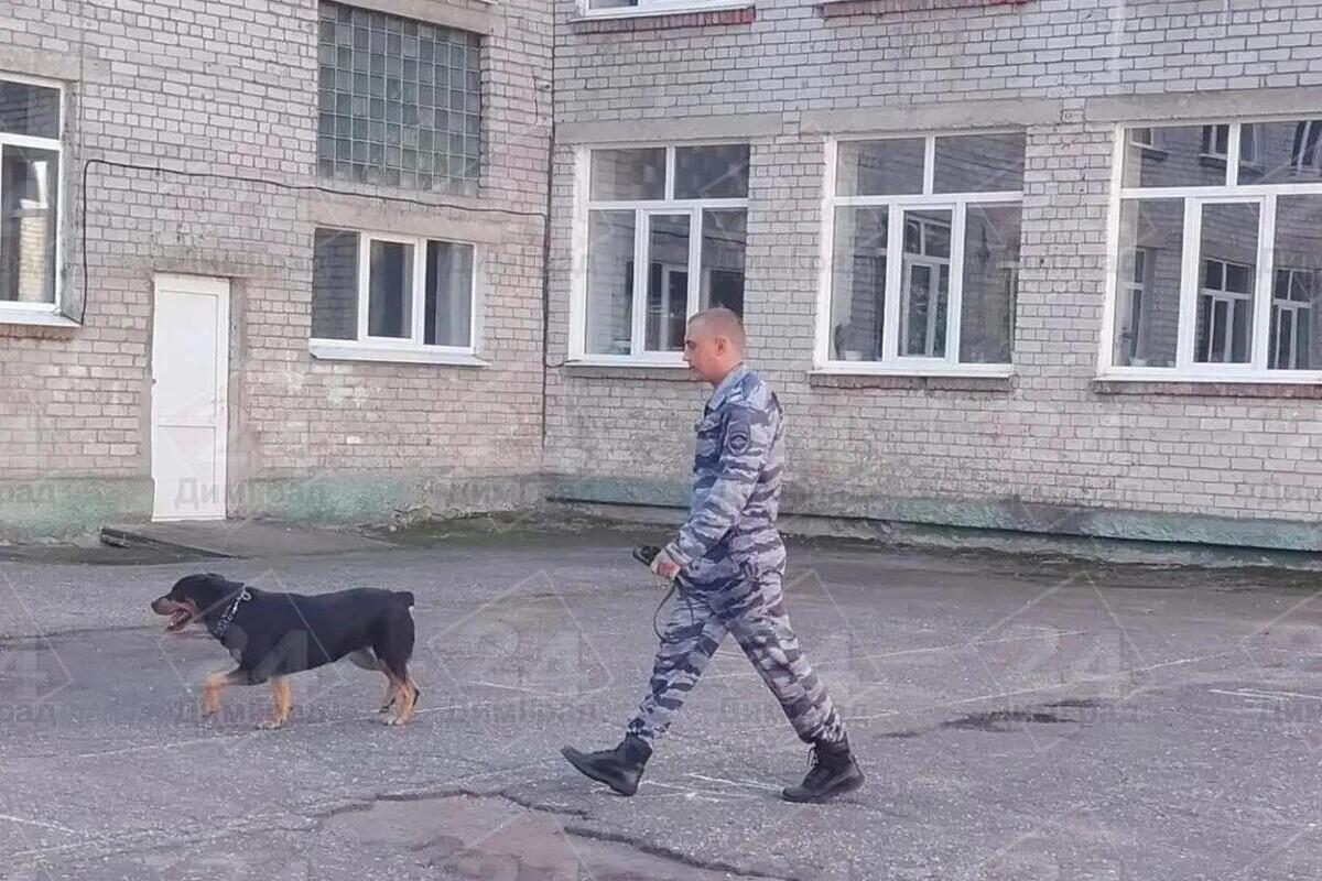Многопрофильный лицей Димитровграда проверили из-за сообщения о бомбе