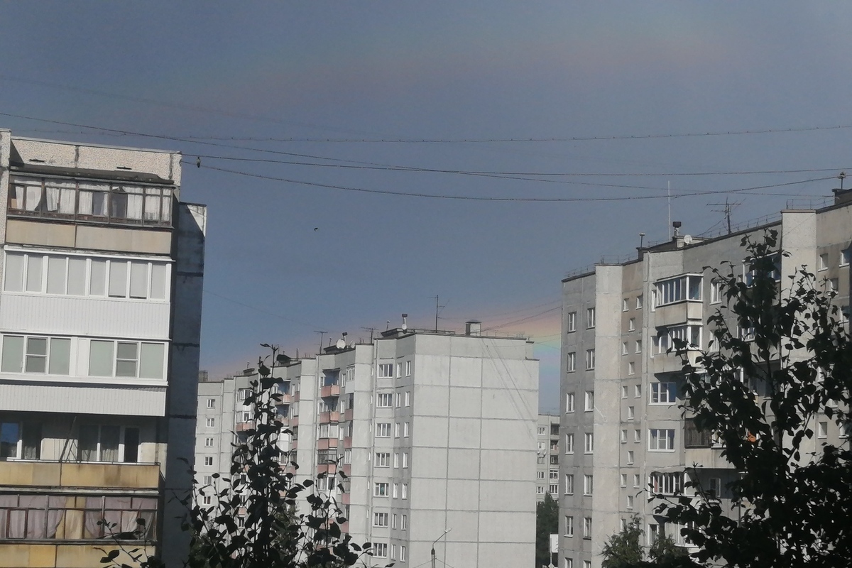 Число активных пользователей приложения «Госуслуги Дом» в Поморье выросло почти на 80 %