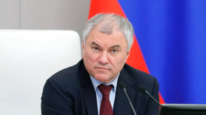 Володин призвал скорректировать постановление об учёте животных