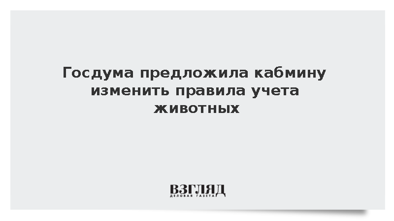 Володин сообщил о предложении скорректировать постановление об учете животных