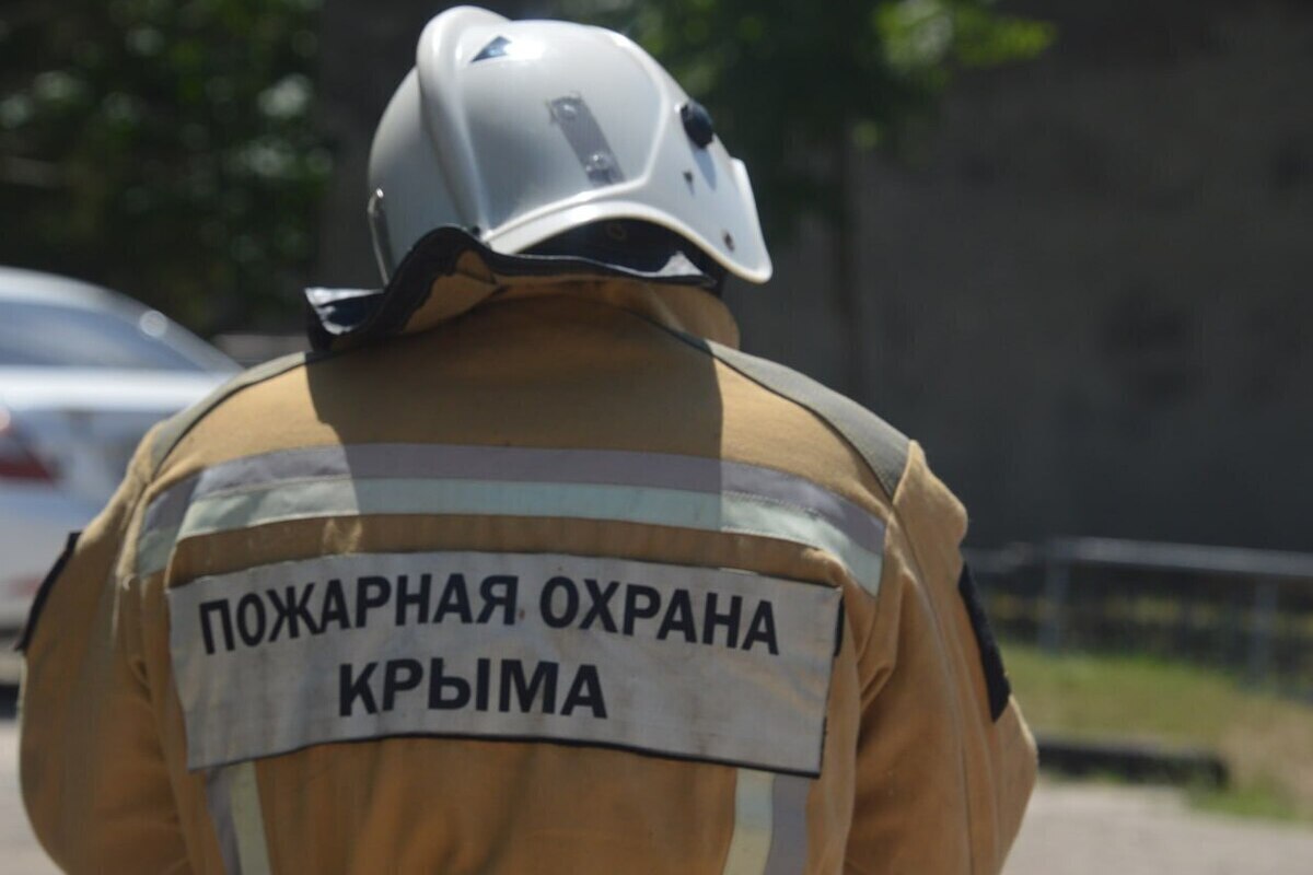В Бахчисарайском районе локализовали лесной пожар