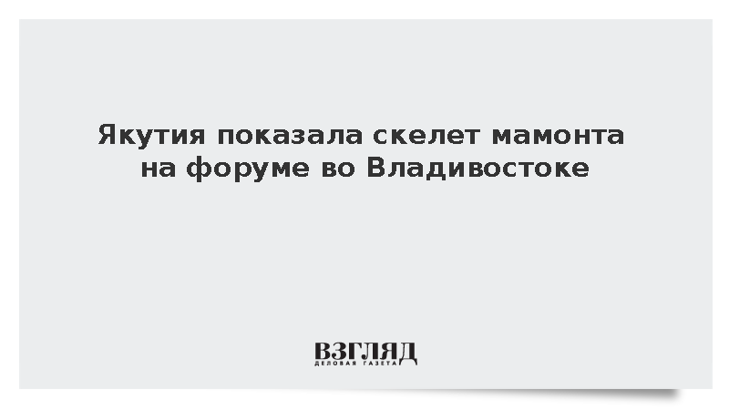 Скелет найденного в 1990-х годах мамонта стал главным экспонатом ВЭФ