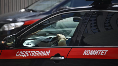 На Сахалине при падении параплана погибли два человека