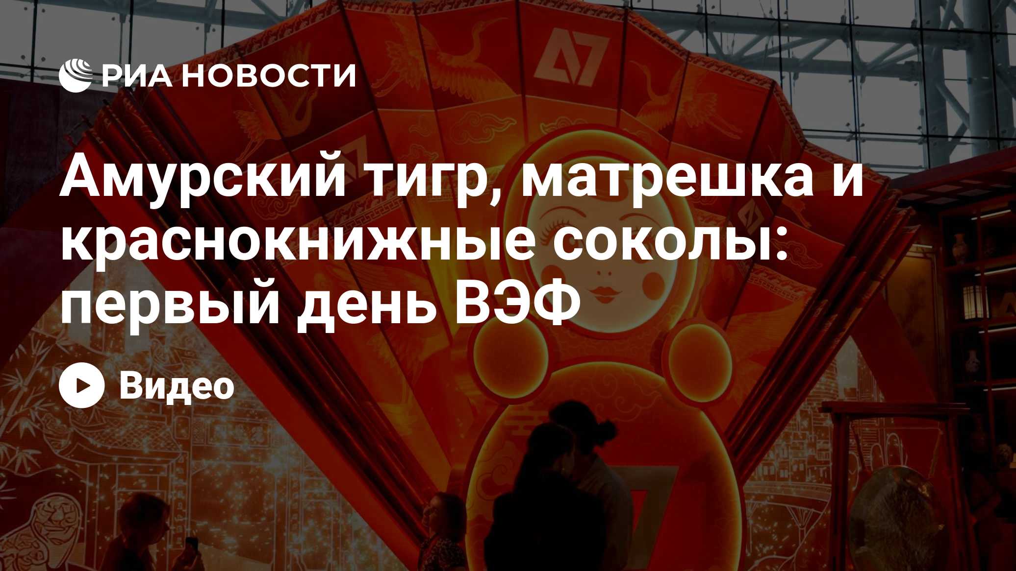 Амурский тигр, матрешка и краснокнижные соколы: первый день ВЭФ