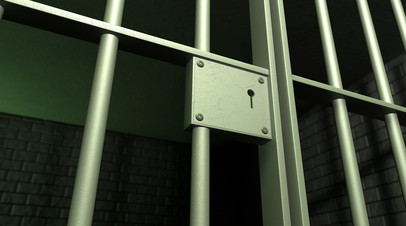Двух жителей Ярославской области приговорили к 21 году за госизмену и диверсию