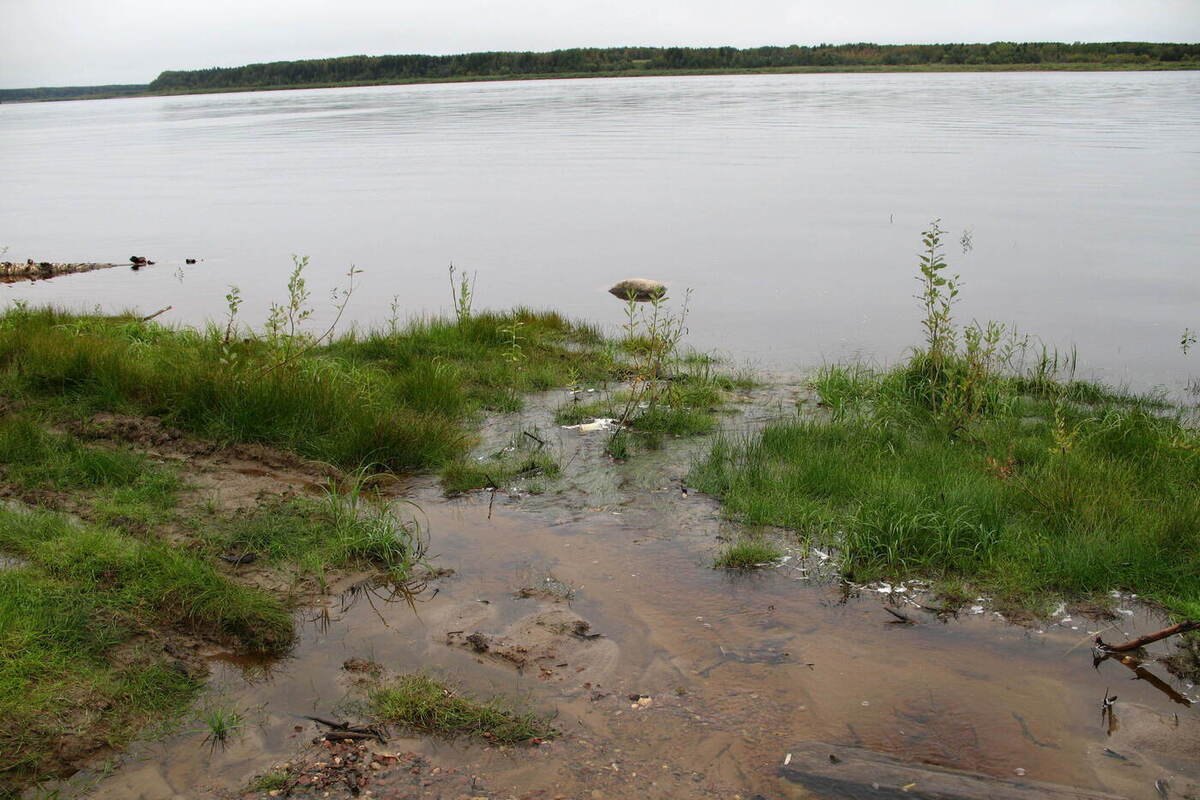 Погода в Поморье: тепло