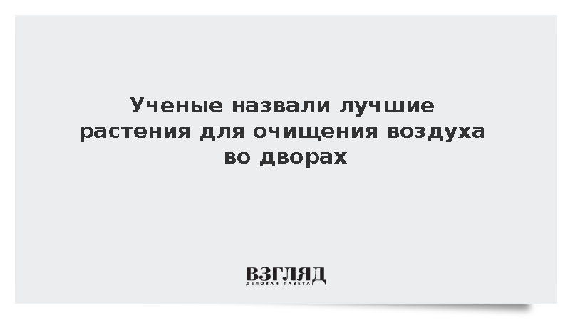Курганский университет: Тыква и кабачки очищают воздух