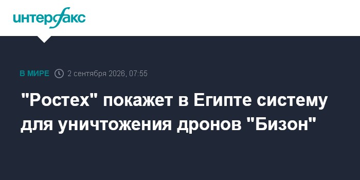 "Ростех" покажет в Египте систему для уничтожения дронов "Бизон"