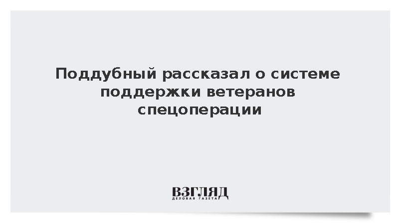 Поддубный: ЕР обеспечила принятие 160 законов для поддержки ветеранов СВО