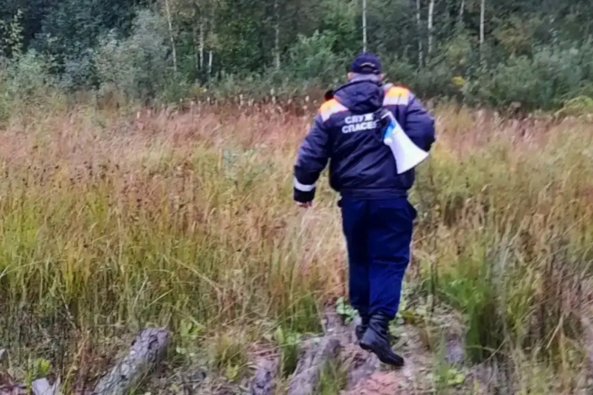 Старорусские водолазы вывели из леса заблудившегося мужчину