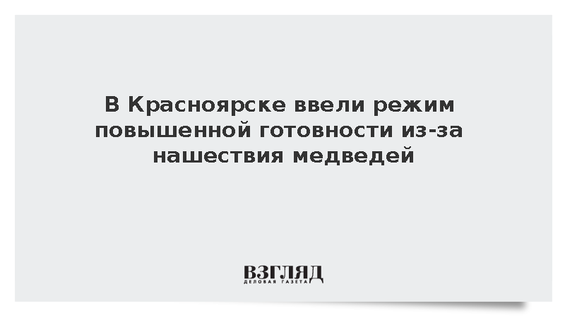 Мэр Верещагин: В Красноярске ввели режим повышенной готовности из-за медведей