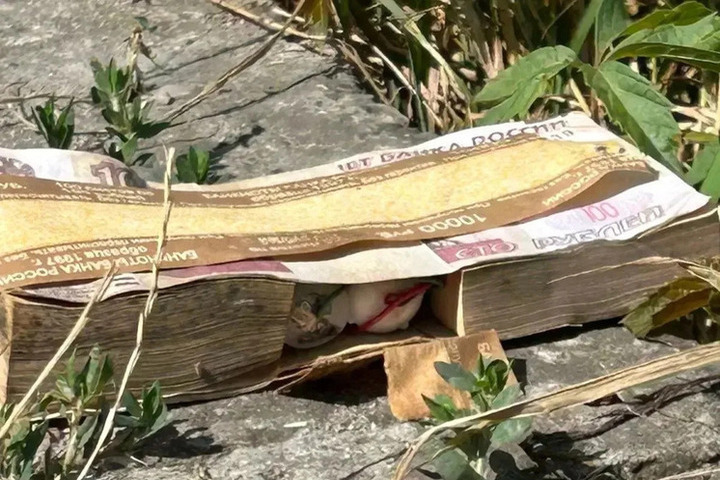 Появились подробности о подозрительной "пачке банкнот", найденной на улице в регионе РФ