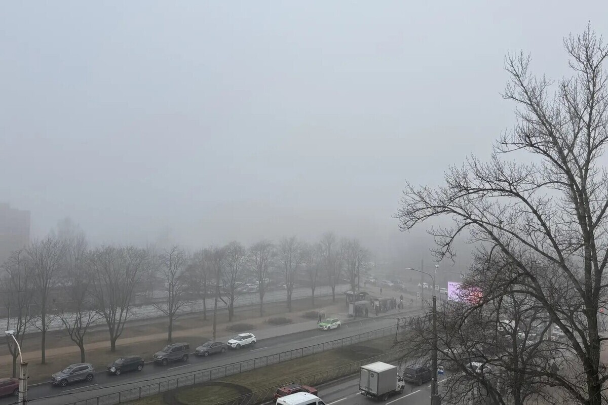 Туман в Мурманской области: северянам обещают до 17° тепла 3 сентября
