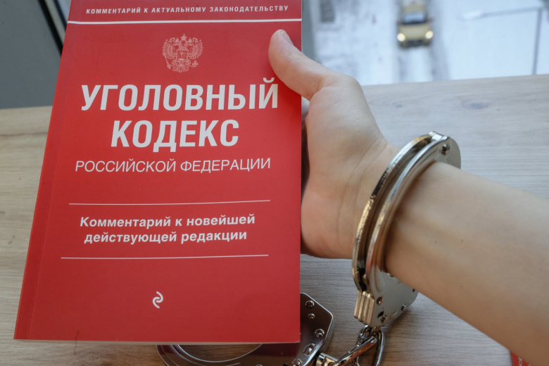 Дело завели на компанию школьниц из-за жестокого нападения на сверстницу