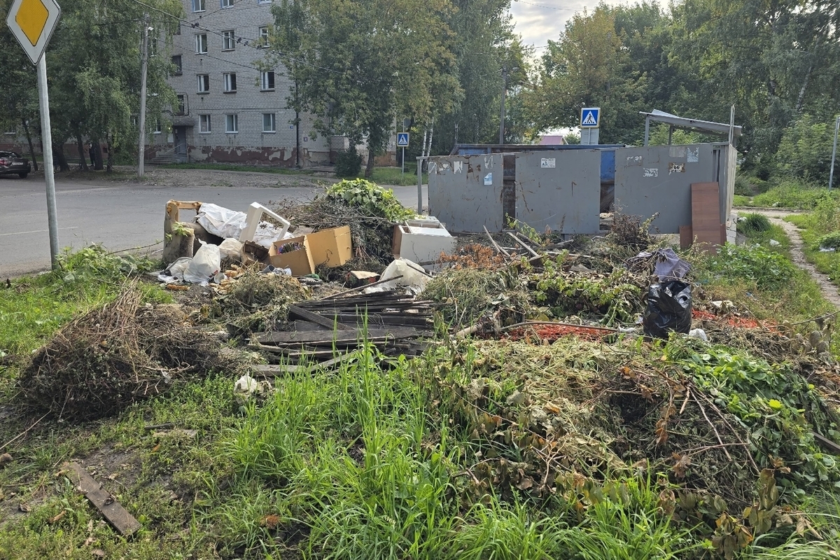 Контейнерные площадки в центре Ульяновска зарастают мусором и ветками